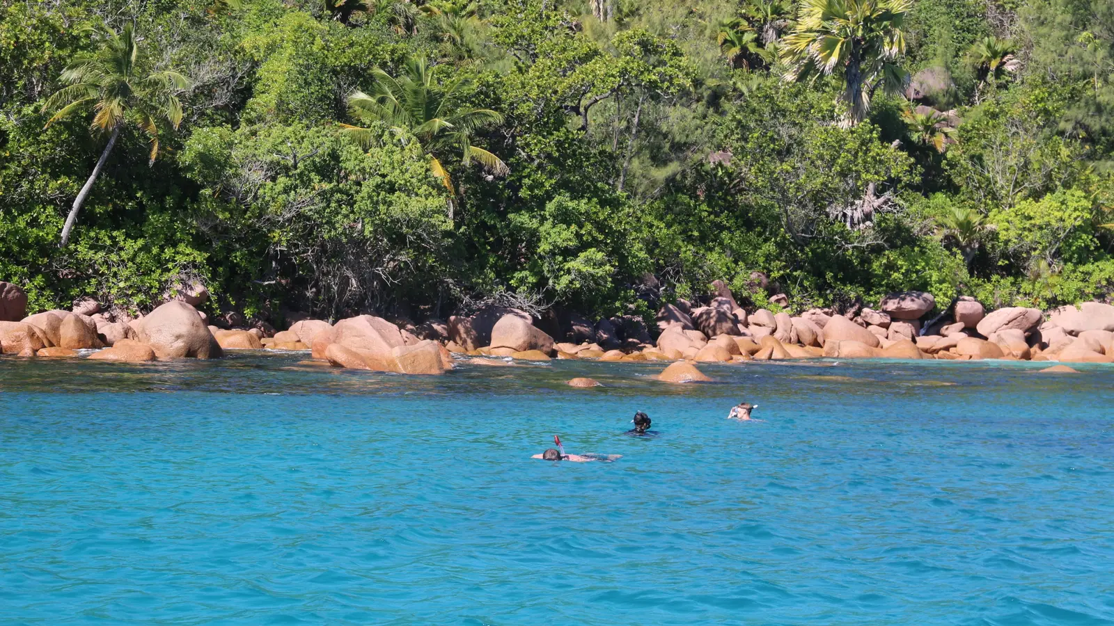 Snorkellers in a turquoise lagoon in front of granite boulders