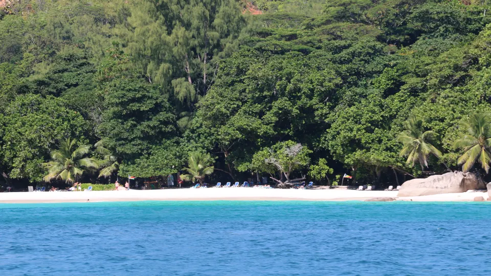 A wide white sand beach lined with palms, seen from the water