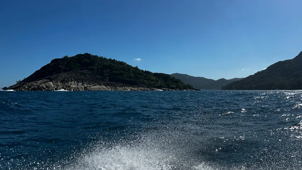 Late light scattering across the surface of the sea