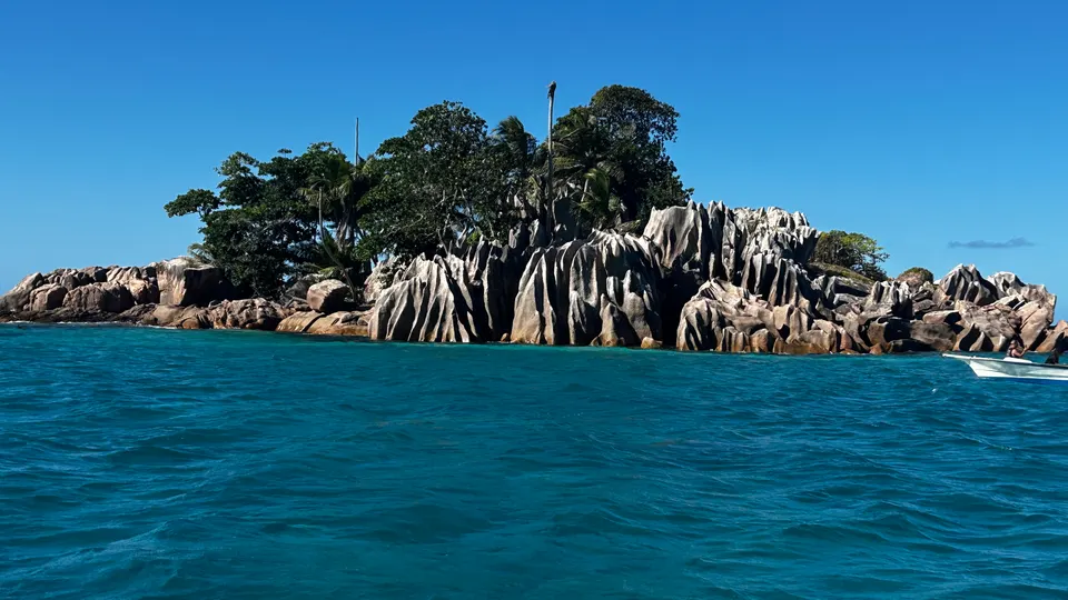 Weathered granite and palms on the islet of Saint Pierre, close up