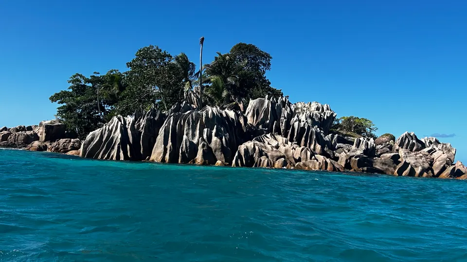 The islet of Saint Pierre seen from the water, palms above bare granite